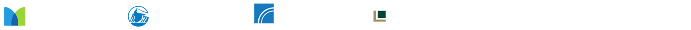保險集團與長期機構資金合作 Logo