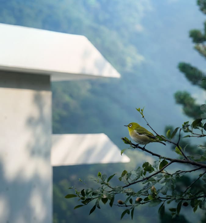 上山會好友